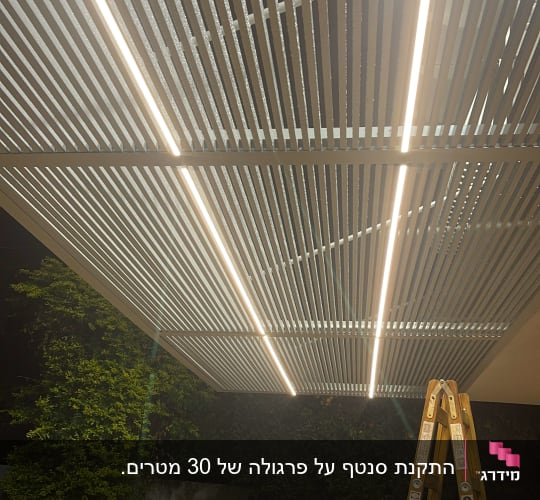 תקרה עם קורות עץ ותאורה, סולם עץ בגינה
